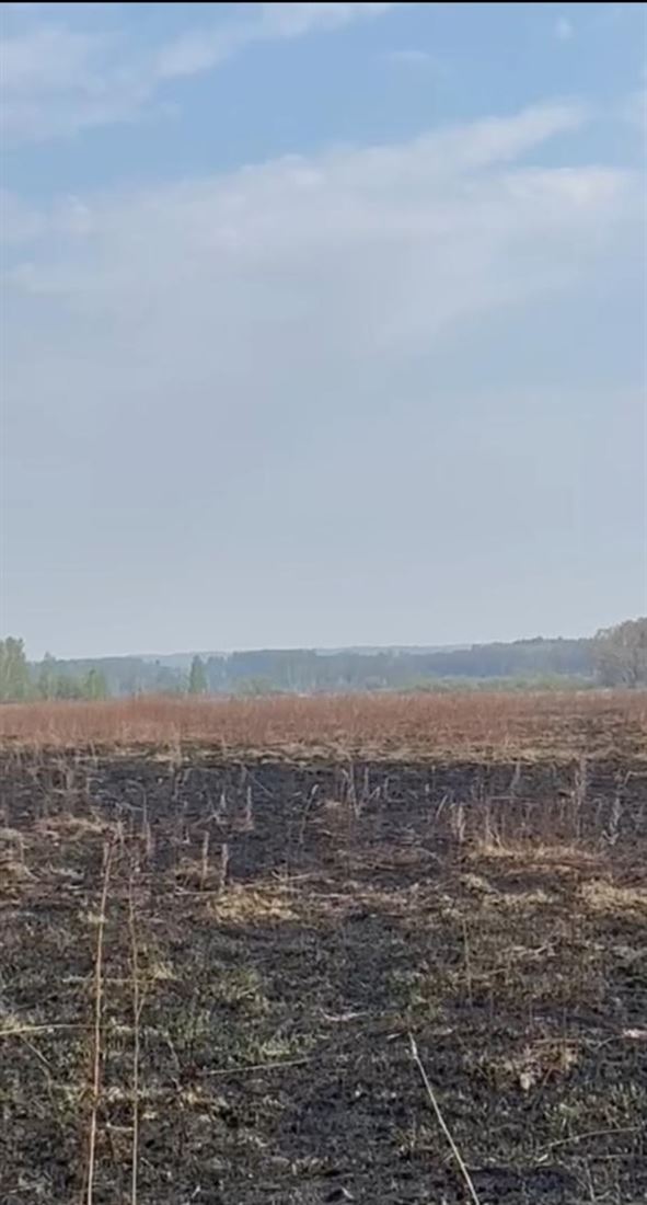 Купить  коммерческую недвижимость